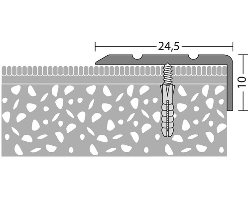 Skiss av en avslutningsprofil med skruv och plugg, mått 24,5 x 10 mm