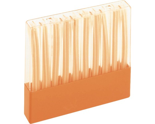 Tandpetare i plastlåda