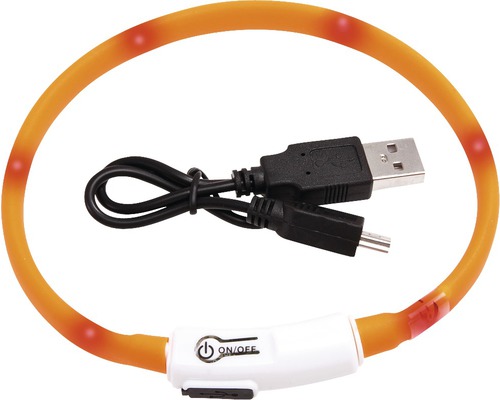 Hundhalsband med USB-laddningskabel