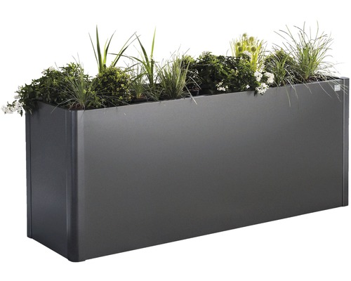 Rektangulär planteringslåda med växter