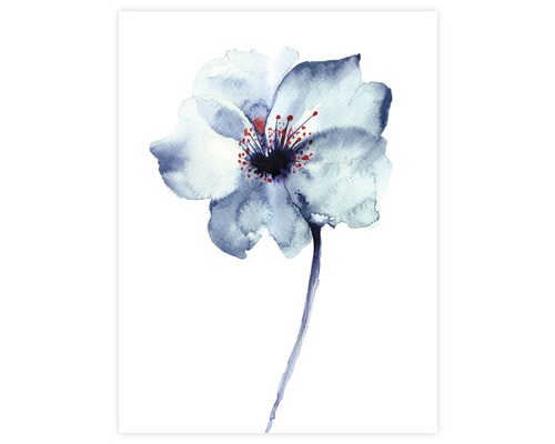 Poster Blue Flower 30x40cm