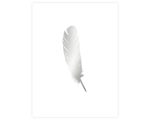 Poster Feather silver 30x40cm