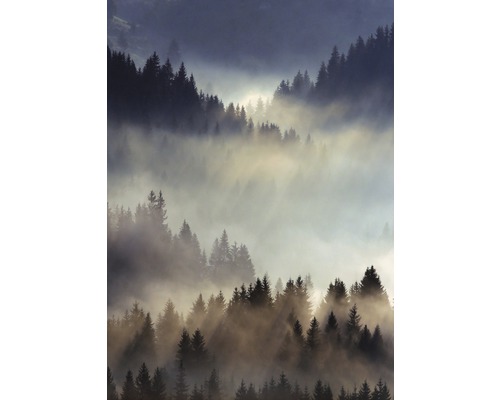 Poster Foggy Dawn 50x70cm
