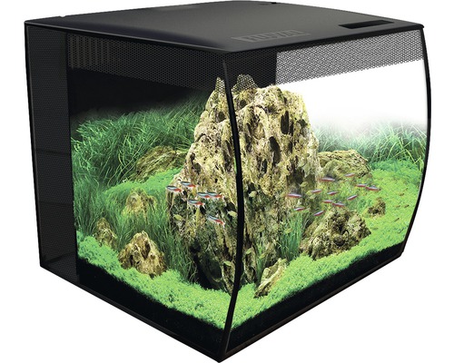 Svart akvarium med stenar, växter och fiskar