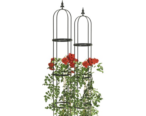 Två växtstöd med röda rosor