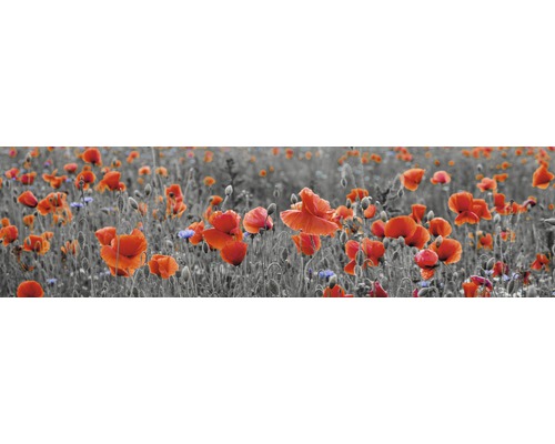 Stänkpanel för kök MYSPOTTI Splash Poppy 2200x600 mm