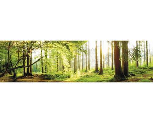 Stänkpanel för kök MYSPOTTI Splash Tree Crowns 2200x600 mm Skogsscen med träd och solljus