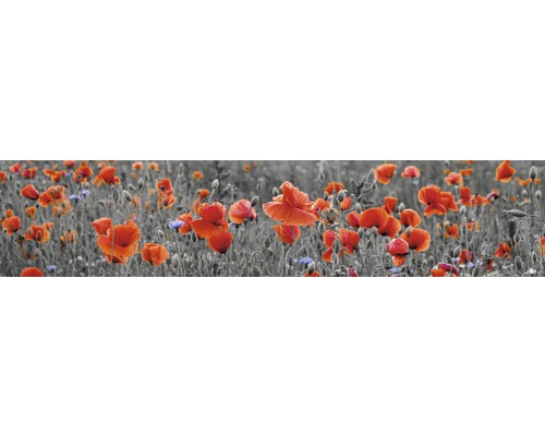 Stänkpanel för kök MYSPOTTI Splash Poppy 2800x600 mm Fält med vallmo