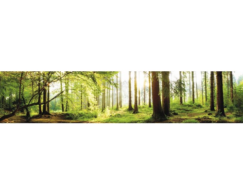 Stänkpanel för kök MYSPOTTI Splash Tree Crowns 2800x600 mm Skogslandskap med träd och solljus