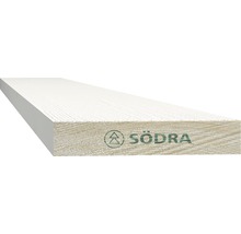 Ytterpanel grundmålad 22x95x3600 mm