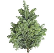 Nordmannsgran för egen dekoration