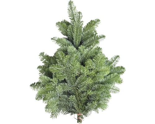 Nordmannsgran för egen dekoration