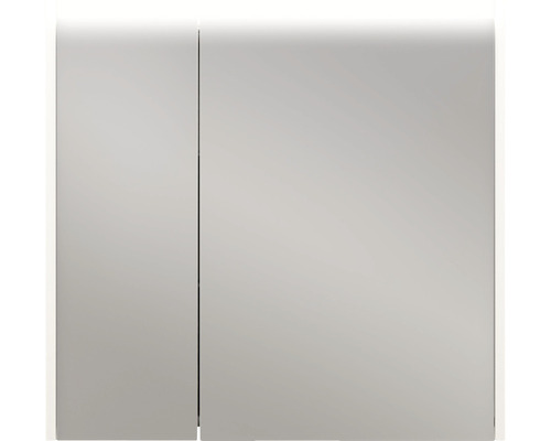 Stängt spegelskåp för badrummet