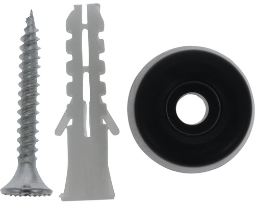 Skruv, plugg och rosett för fastsättning