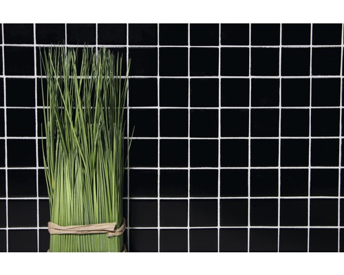 Bunt gräs framför svart kakelbakgrund