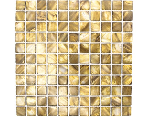 Mosaik snäckskal SM 2569 beigebrun 30x30 cm