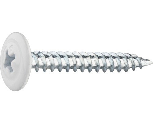 Plåt-och montageskruv GRABBER 4,2x31mm vitlackerad C1 100-pack G33VITC En enda vit linsformad skruv