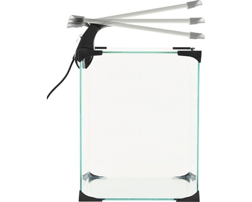 Glasakvarium med LED-lampa