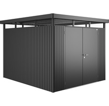 Redskapsbod BIOHORT HighLine H5 dubbeldörr 275x315cm mörkgrå-metallic