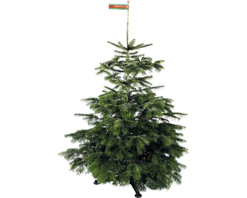 Nordmannsgran med märkning för ursprungsbeteckning