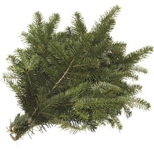 Nordmannsgran grangrön bunden