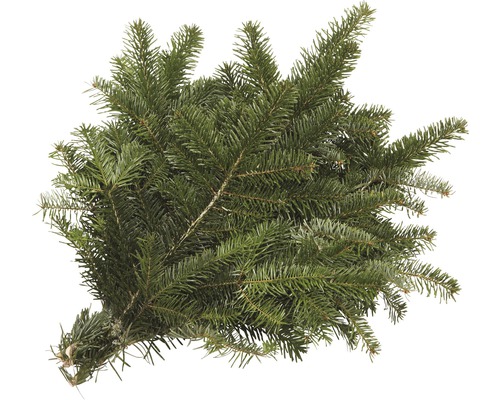 Kvistar kungsgran snittgrönt knippe liten ca 0,5kg Nordmannsgran grangrön bunden