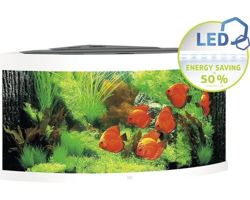 Hörn akvarium med LED-belysning och tropiska fiskar