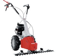 Slåtterbalk för trädgården