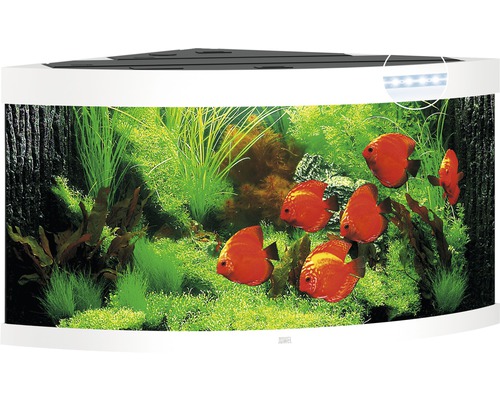 Hörnakvarium JUWEL Trigon 350 LED, filter, värmare ca 123x87x65cm ca 350L vit Hörn akvarium med fiskar och växter