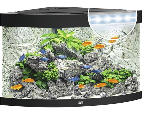 Hörn akvarium med fiskar, växter, stenar och belysning