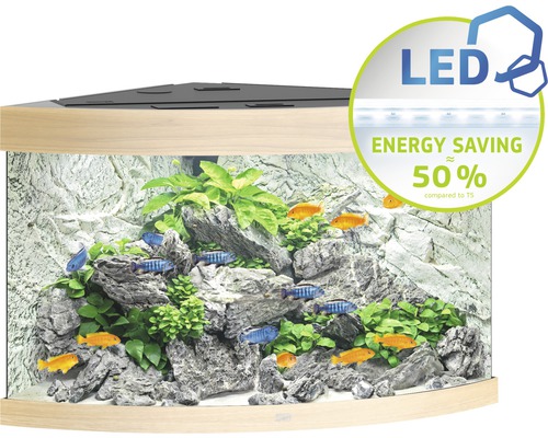 Hörn akvarium med fiskar, växter, stenar och LED-belysning