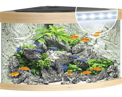 Hörnakvarium JUWEL Trigon 190 LED, filter, värmare ca 98,5x70x60cm ca 190L ljust trä