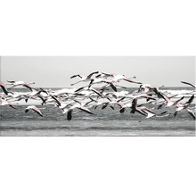 Dekorativ bild med flamingor som flyger över vattnet