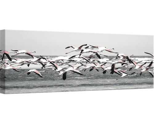 Väggmålning med flamingor som flyger över vattnet