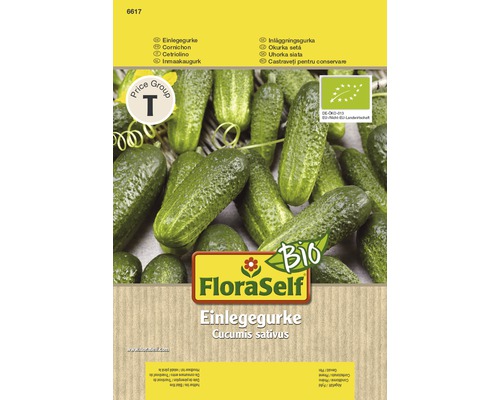 Gurkfrö FLORASELF Gurka BIO Gurkfrö FLORASELF Gurka BIO