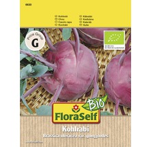 Ekologiska kålrabbifrön FLORASELF Kålrabbi blå BIO