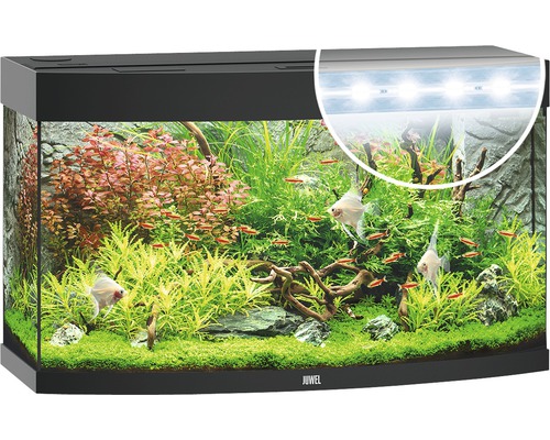 Juwel akvarium med växter, fiskar och belysning