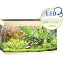 Akvarium med växter och fiskar samt LED-belysning