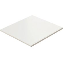 Keramisk platta i formatet 30 gånger 30 centimeter