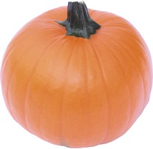 Pumpa