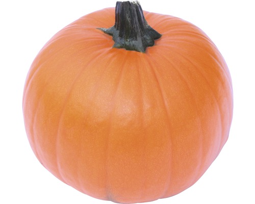 Pumpa Spookie Ø15cm