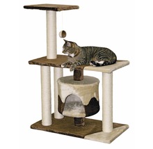 Katt ligger på klösträd i brunt med leksak