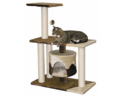 Katt ligger på klösträd i brunt med leksak