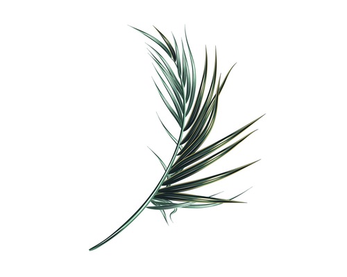 Poster Palm Leaf 30x40cm