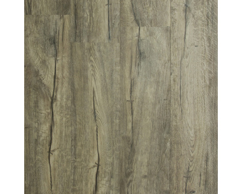 Provbit: Vinylgolv Rabida Trägolvbeläggning med ådring