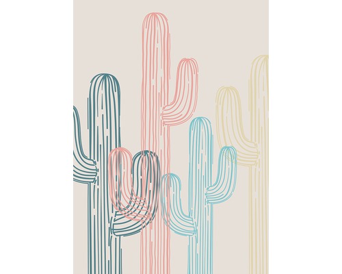 Canvas med ram Cactus 50x70 cm