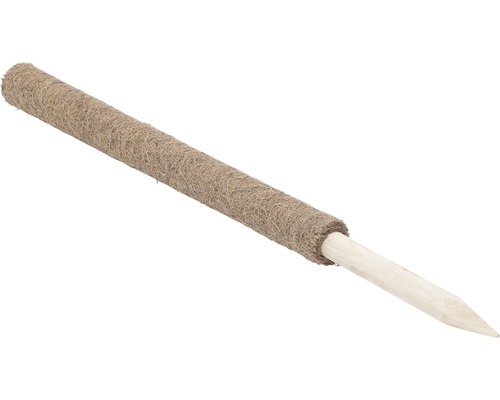 Växtpinne av trä med kokosfiberomslag