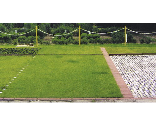 Jämförelse av olika typer av gräsmatta