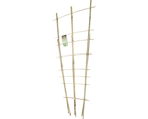 Bambuspaljéset FLORASELF 60cm+85cm