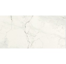 Klinker Carrara blank 30x60 cm rektifierad-thumb-0